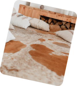 Carpet Cleaning in Portswood, Highfield & Swaythling 3 Rectangle 18 1